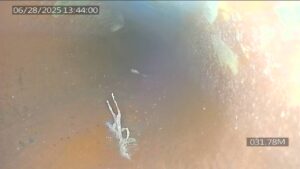 Tree Roots Intrusion - One of the defect identified and mapped using Pipeline Inspection Software